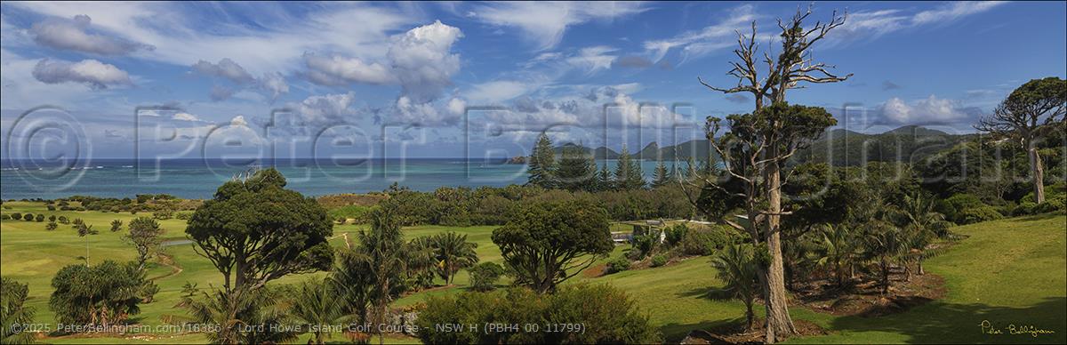 Peter Bellingham Photography Lord Howe Island Golf Course - NSW H (PBH4 00 11799)